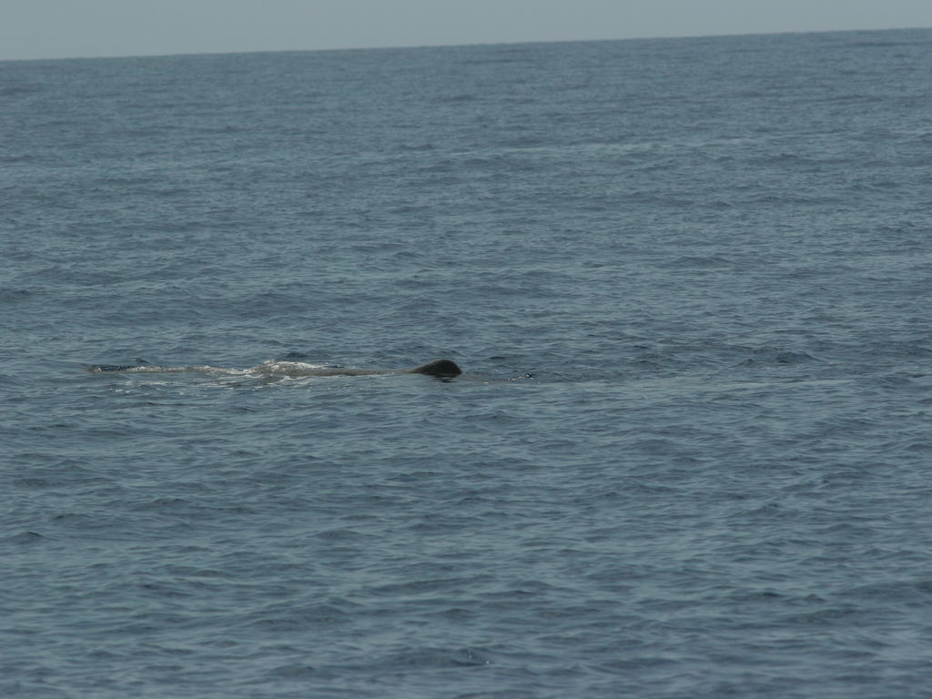 a11b3daf-69c6-48c5-b6dc-4d8b127d59a3