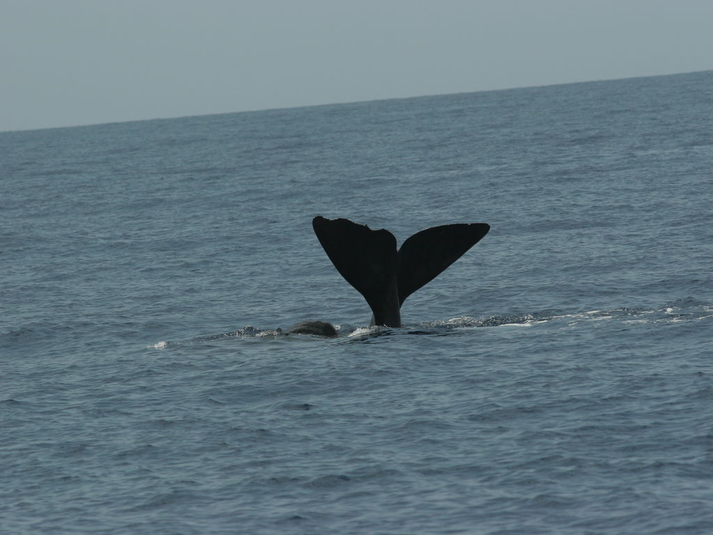 a11b3daf-69c6-48c5-b6dc-4d8b127d59a3