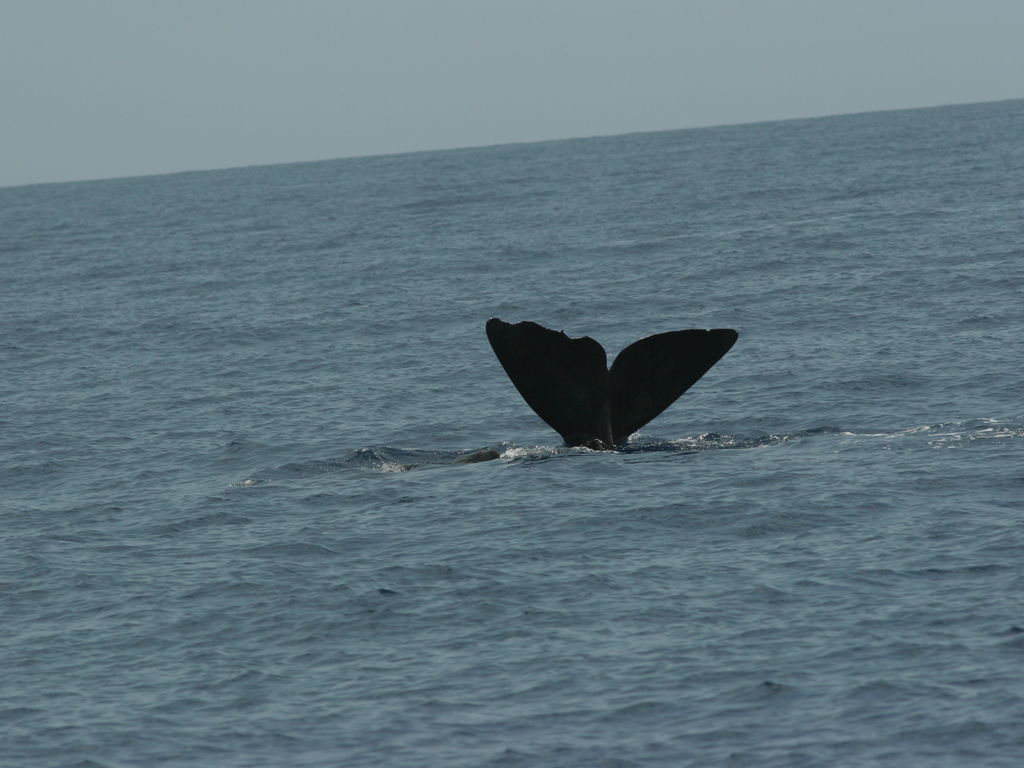 a11b3daf-69c6-48c5-b6dc-4d8b127d59a3