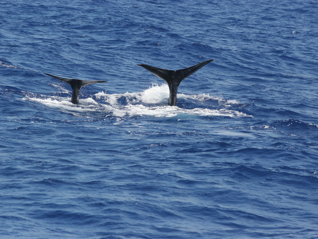 7a95ca66-9ba1-43e0-adf1-126274799afc