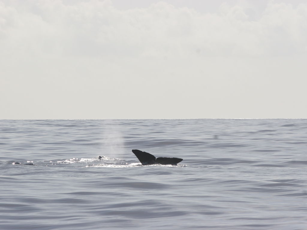 7a95ca66-9ba1-43e0-adf1-126274799afc