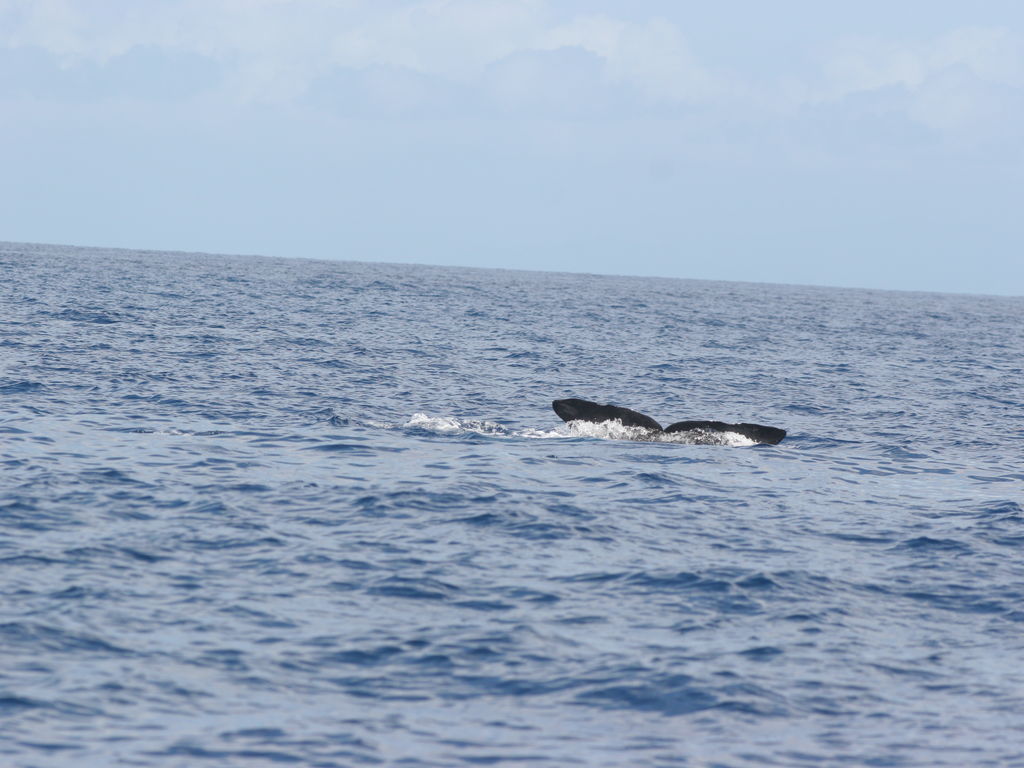 7a95ca66-9ba1-43e0-adf1-126274799afc