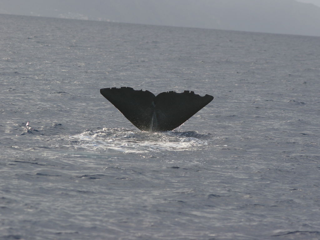 70d56c79-5379-404c-afae-51816cec446d