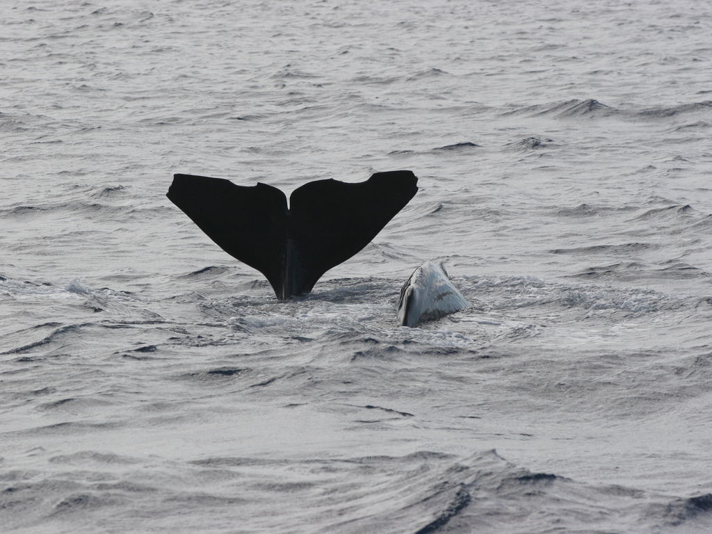 78bd0ae9-1c78-423f-87b9-979946b6ef9d