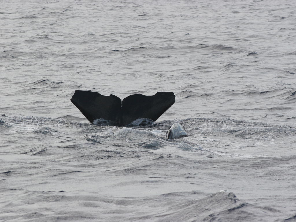 78bd0ae9-1c78-423f-87b9-979946b6ef9d