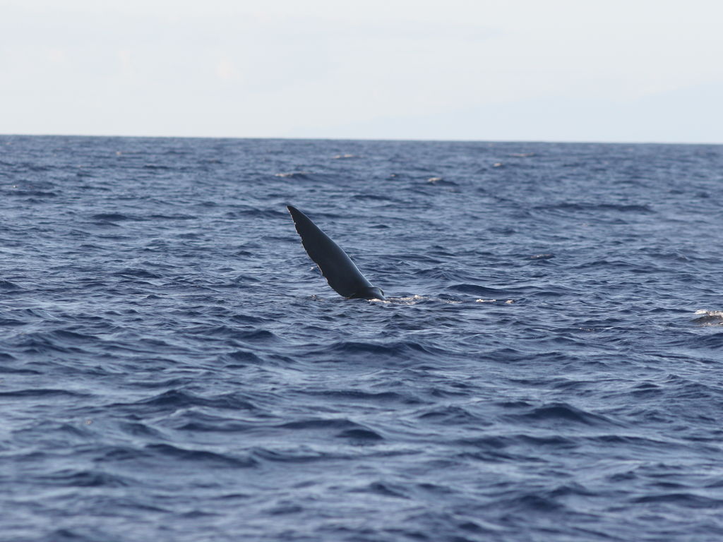 70d56c79-5379-404c-afae-51816cec446d