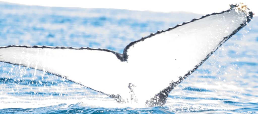 cb72d653-e909-4bca-b441-28171fd6a062