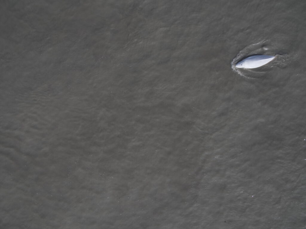 250d72ee-3e9e-4c54-b3c2-c2178019a3d8