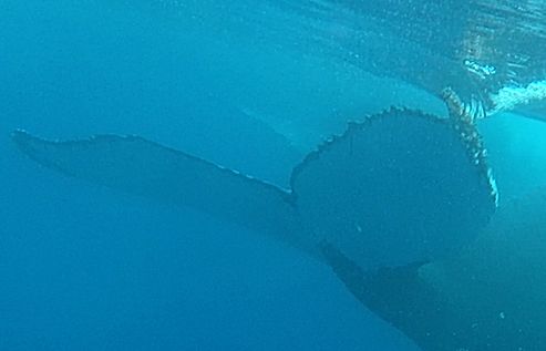 92692561-d652-42b9-804e-b66c02924a4e