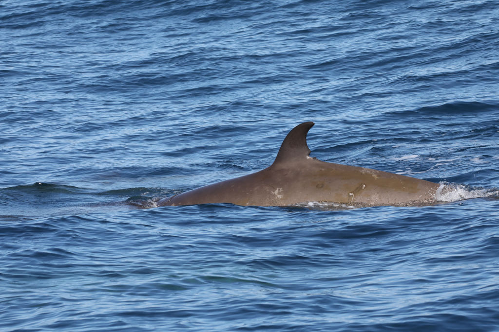 71562c2e-38d3-45c7-938e-b69dca4db793