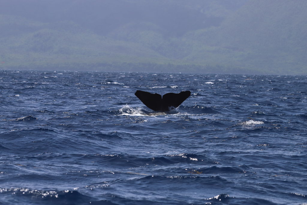 78bd0ae9-1c78-423f-87b9-979946b6ef9d