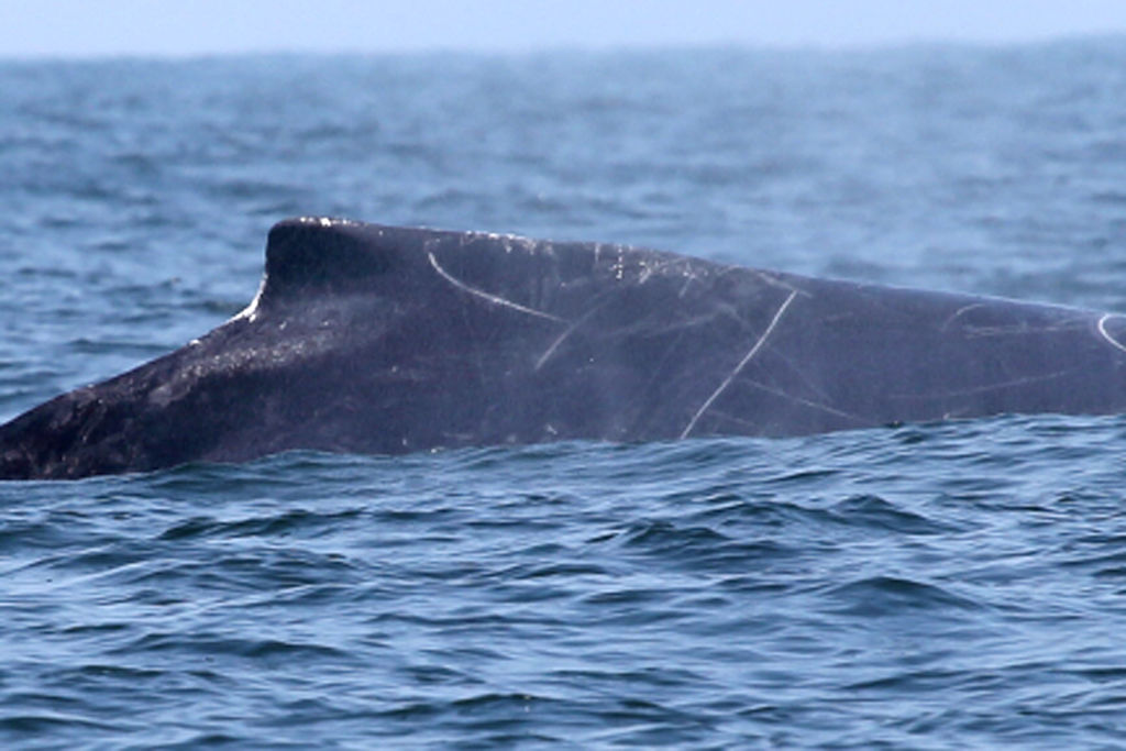 b77f76ef-f3e2-4798-9d09-c1701ed8b0f5