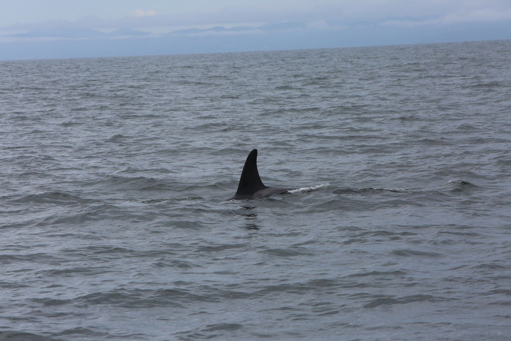 3d3ec6d9-8777-4275-8d98-ac4d23ac8b6f