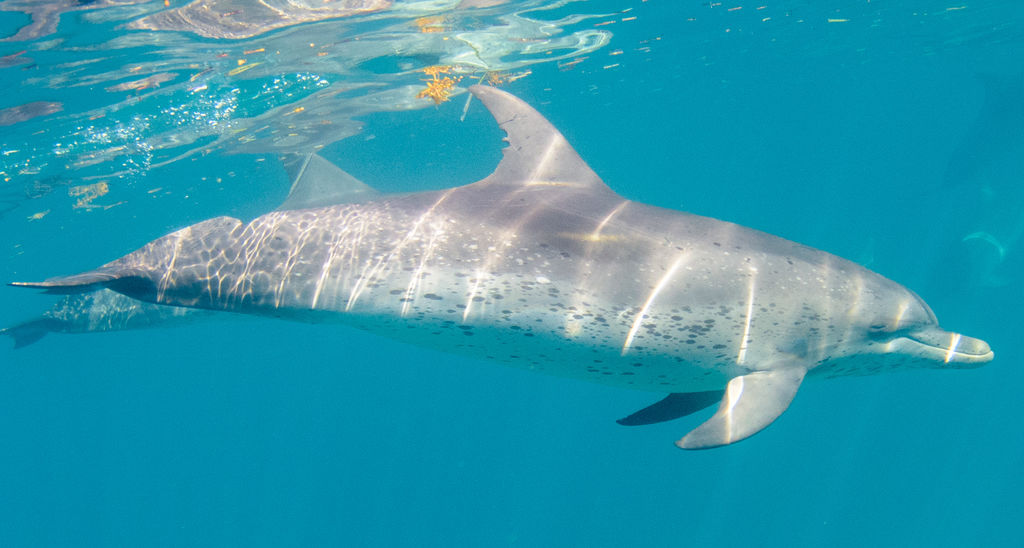 09de8230-c422-47b0-a188-2e77978ddbe7