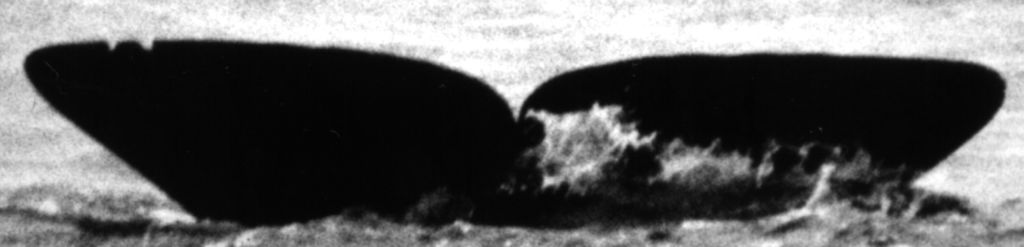 5d550fad-225a-4b95-ac4f-be5e23c93109