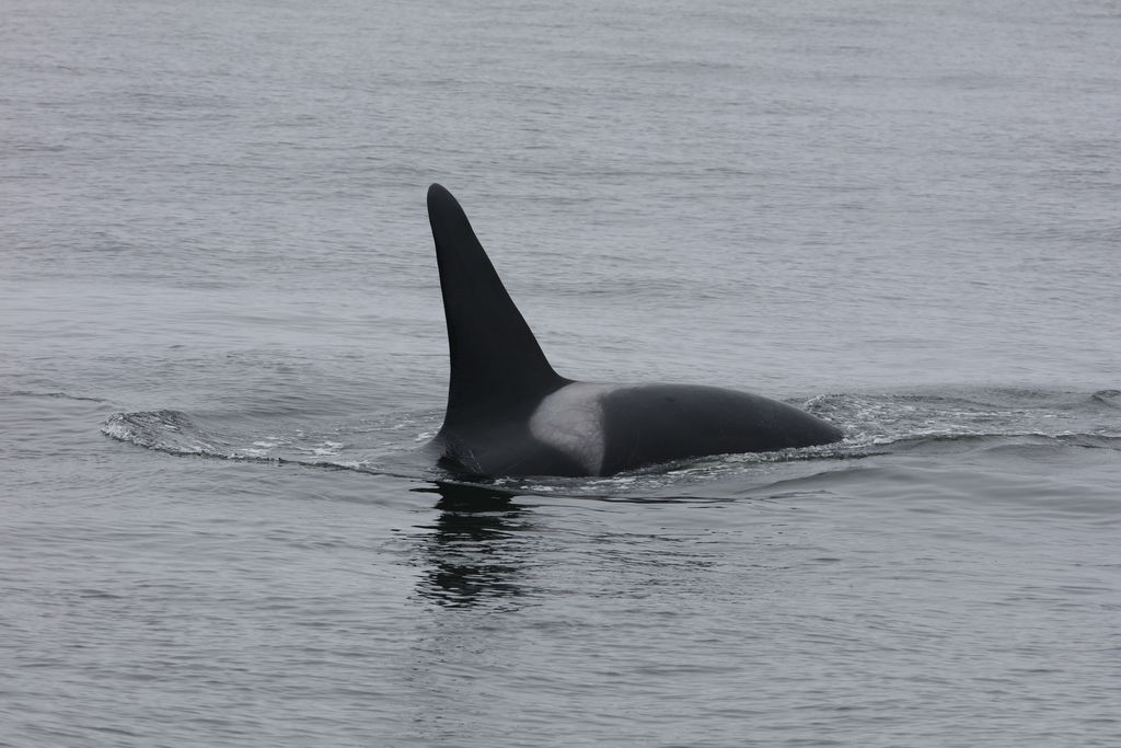 30e909ef-2711-40c3-a689-4677d951b6dd