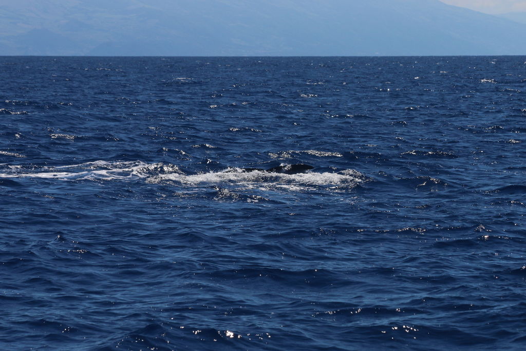 bfabec9e-2494-4593-a95f-158eec58ece6